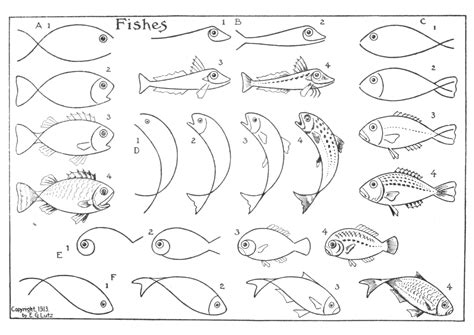 魚的畫|如何輕鬆畫魚